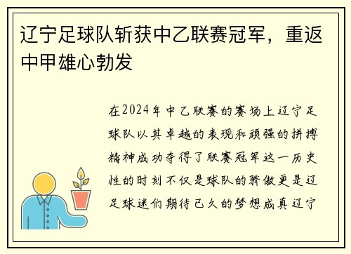 辽宁足球队斩获中乙联赛冠军，重返中甲雄心勃发
